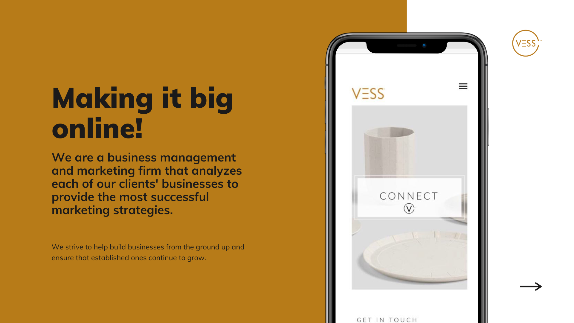 Marketing consulting VESS agency